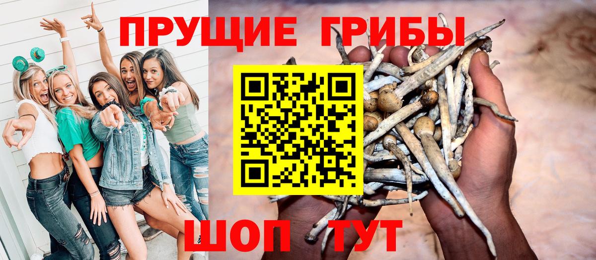 Псилоцибиновые грибы прущие грибы Полысаево
